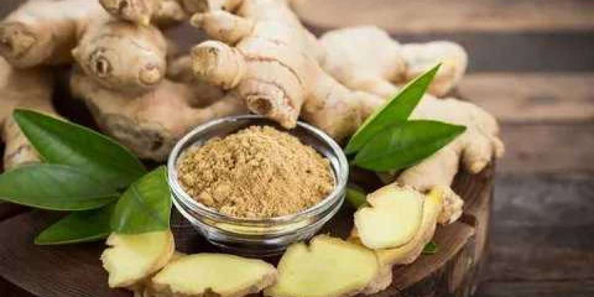 Authentic Herbal Remedies from All Over the World