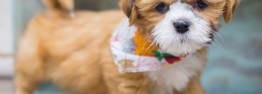 Dogbreeder Pune Cover Image